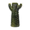 Picture of Cactus green olives press