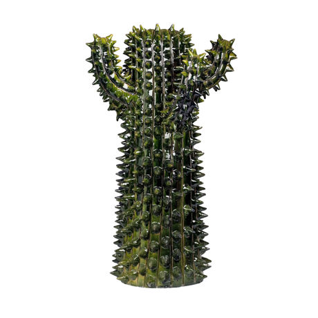 Immagine di Cactus verde frantoio