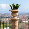 Immagine di Vaso ornamentale in terracotta