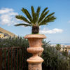 Immagine di Vaso ornamentale in terracotta