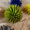 Picture of Sea urchin green olives press