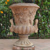 Picture of Baroque vase