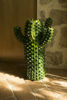 Immagine di Cactus verde frantoio