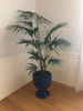 Picture of Pine cone vase blue diamond