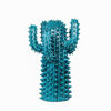 Immagine di Cactus verde Ustica