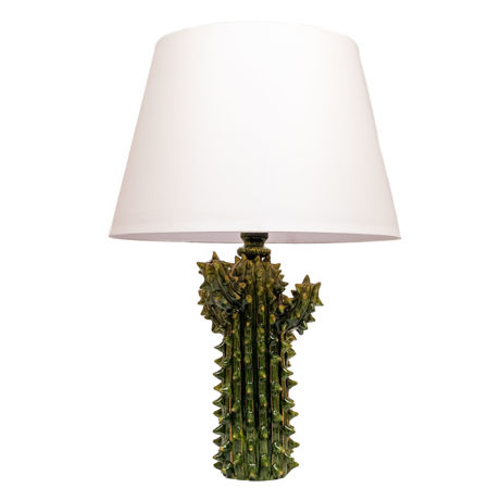 Immagine di Cactus lampada verde frantoio
