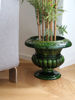 Immagine di Vaso ornamentale verde frantoio