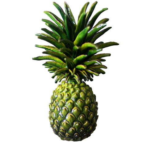 Immagine di Ananas