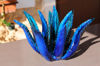 Picture of Agave blue green 