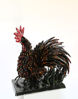 Picture of Rooster 2