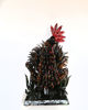 Picture of Rooster 2