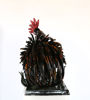 Picture of Rooster 2
