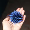 Immagine di Riccio blu diamante