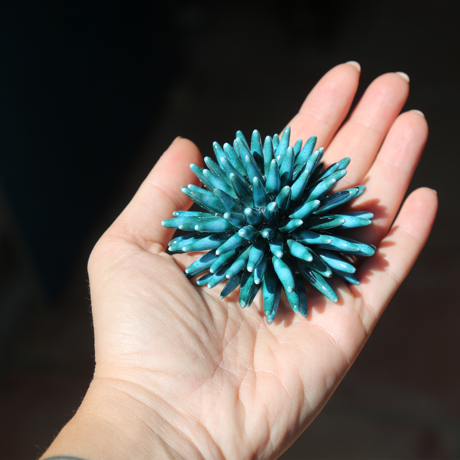 Picture of Sea green Ustica 