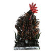 Picture of Rooster 2