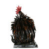 Picture of Rooster 2