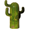 Immagine di Cactus senza spine verde frantoio