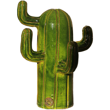 Immagine di Cactus senza spine verde frantoio