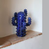 Immagine di Cactus blu