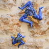 Picture of Blue Trinacria