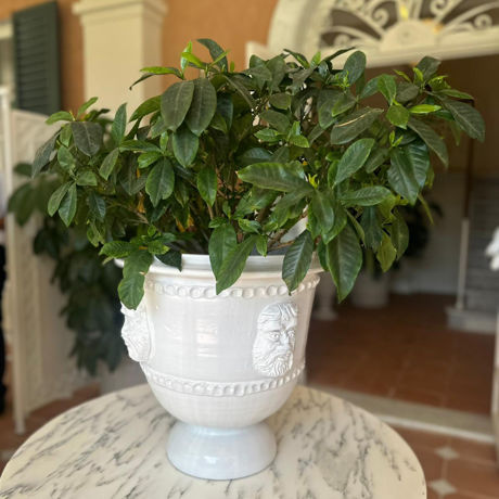 Picture of Vase with white crusher heads