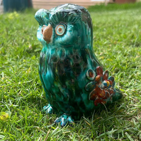 Picture of Owl with feathers 1