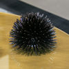 Picture of Sea urchin blue diamond