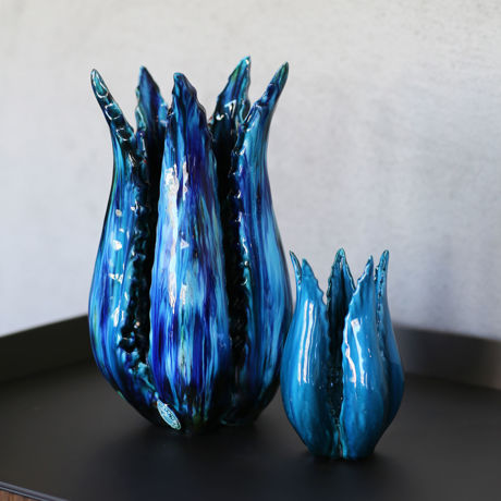 Immagine di Agave chiusa blu chiaro scuro