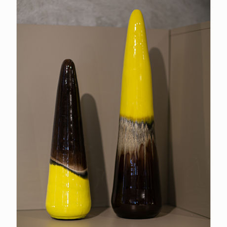 Picture of Yellow cypress
