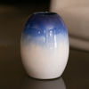 Immagine di Vaso blu sfumato
