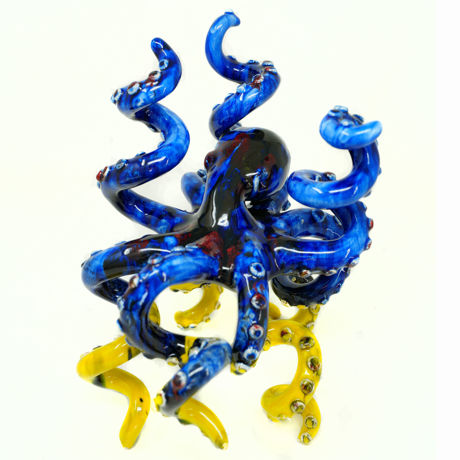 Immagine di Polpo blu e giallo