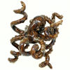 Picture of Caramel Octopus 