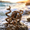 Picture of Caramel Octopus 
