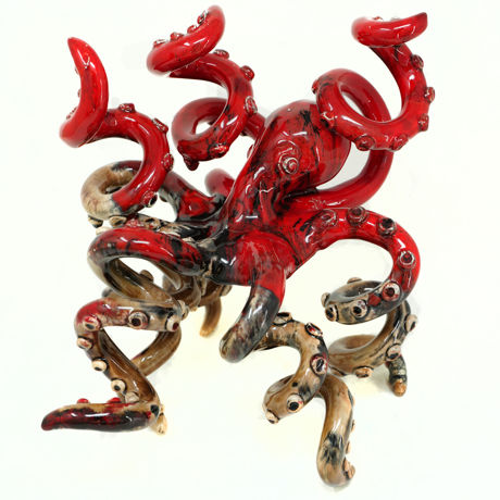 Immagine di Polpo rosso e caramello